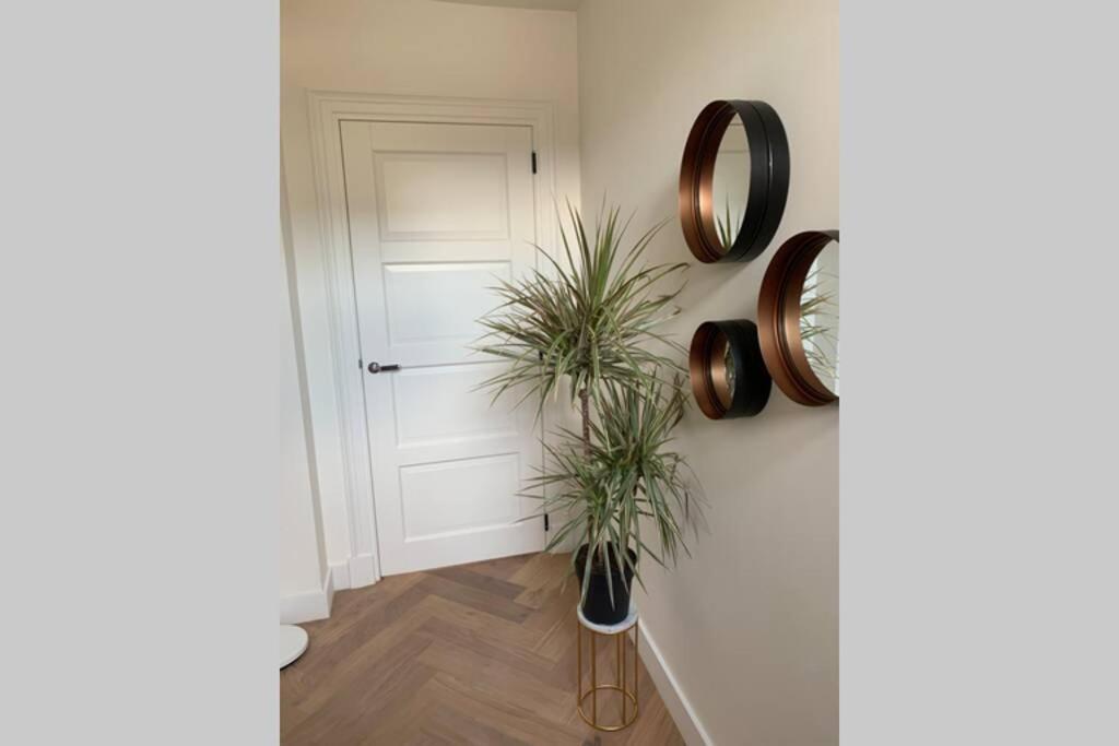 Charming Private Guesthouse Air By The Beach Zandvoort Extérieur photo
